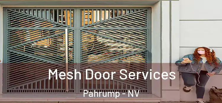 Mesh Door Services Pahrump - NV